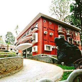 Forest Haven Resort Munnar Exteriér fotografie